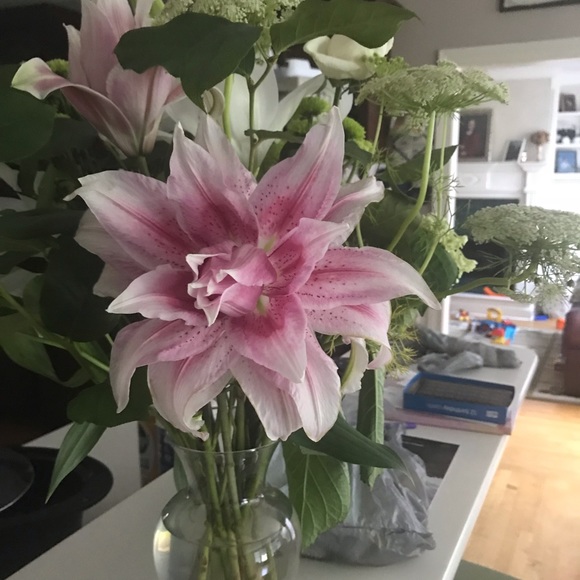 Meet your Posher, Debra - Picture 3 of 4